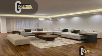 apartment in maadi