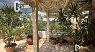 furnished Apartment for Rent in Maadi Mostafa Kamel, in Cairo