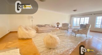 apartment in maadi