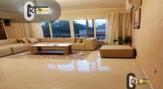 apartment in maadi