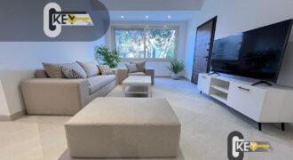 apartment in maadi