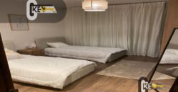 furnished Apartment for Rent in El Rehab Exetntion , in Cairo